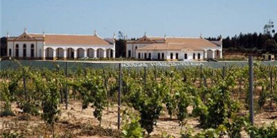 Cursos de formación para profesionales de los establecimientos adheridos a la Ruta del Vino