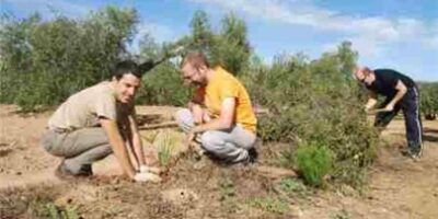 Ituci Verde realiza una plantación en el paraje ‘Los Almendrilllos’