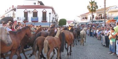 La Asociación Nacional de Criadores de Ganado Marismeño colocará el viernes la primera piedra del Recinto Ganadero