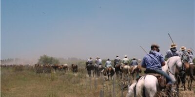 El Ayuntamiento de Almonte participará en el Salón Internacional del Caballo 2011 en Sevilla