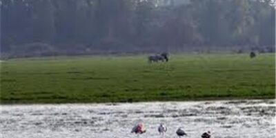 Mariscadores de la costa occidental aseguran que han capturado coquinas en Doñana y el parque lo niega