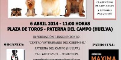 I Concurso canino popular Villa de Paterna