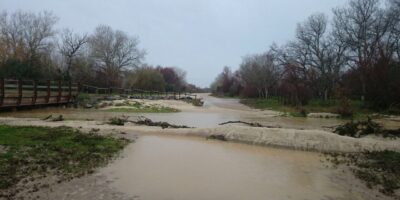 La Raya Real y el Camino de Hinojos, intransitables