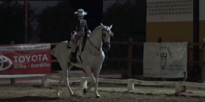 III Territorial de Menores y I Nacional Doma Vaquera B en Villalba