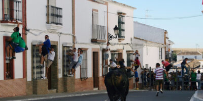 Una cogida por un Toro de Cuerda empaña los encierros de Villalba