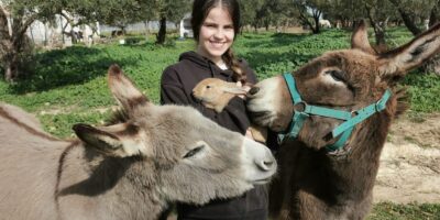 Comienza a funcionar el primer santuario animal de España en Chucena