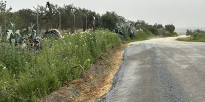 Villarrasa mejora las condiciones de varios caminos