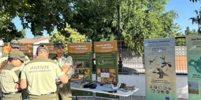 La importancia del Medio Ambiente se cuela en las aulas de Villarrasa