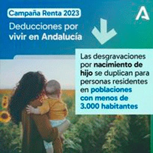 Delegación Gobierno Huelva - RENTA 2024