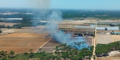 Extinguido el incendio en Lucena del Puerto