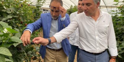 Bendodo marca el factor agrícola de Lucena en la agenda europea