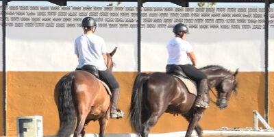 Montar a caballo: la terapia perfecta en Villalba