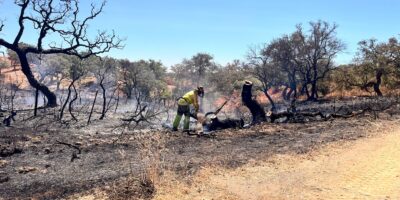 Extinguido un incendio declarado en Valverde del Camino