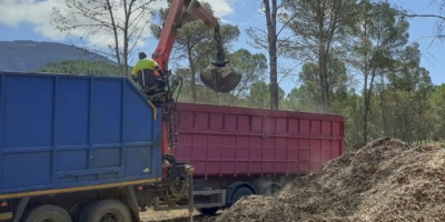 Gestión forestal activa y construcción con madera de origen andaluz