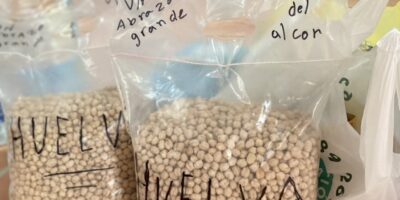 Recogida de productos en Villalba para los afectados por la DANA