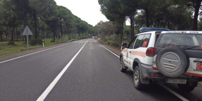 Desactivado el Plan de Emergencias: retiran un pino en Hinojos tras su caída