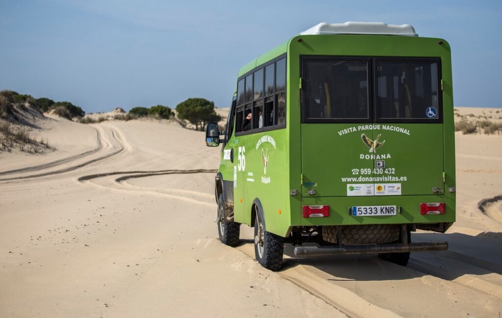 Uno de los transportes que se pueden utilizar para conocer de primera mano el Parque Nacional de Doñana. Foto: Doñana Visita.