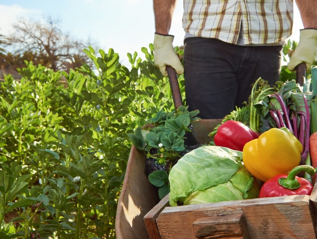 Alemania compra alimentos de Andalucía por valor de más de 1.012 M€