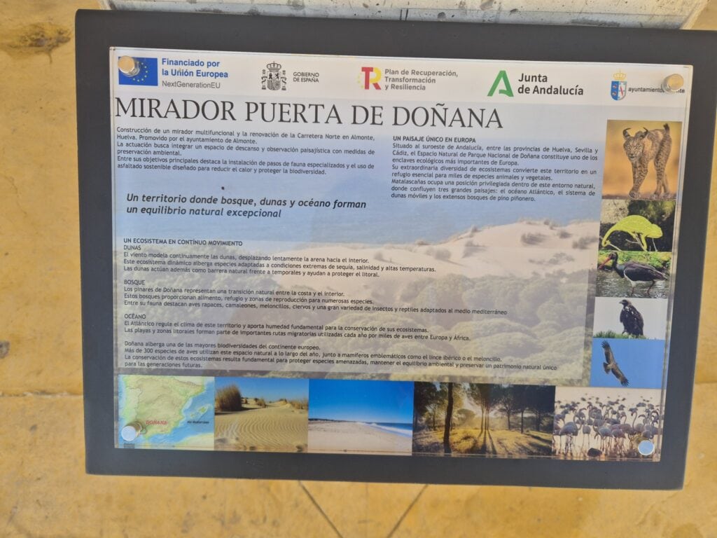 El Atlántico y un mar de pinos unidos en el Nuevo Mirador Puerto de Doñana de Matalascañas 